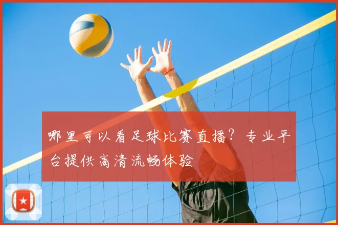 哪里可以看足球比赛直播？专业平台提供高清流畅体验