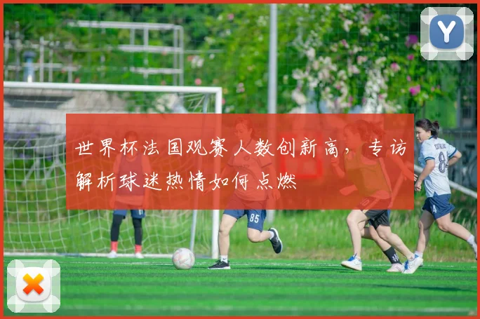 世界杯法国观赛人数创新高,专访解析球迷热情如何点燃
