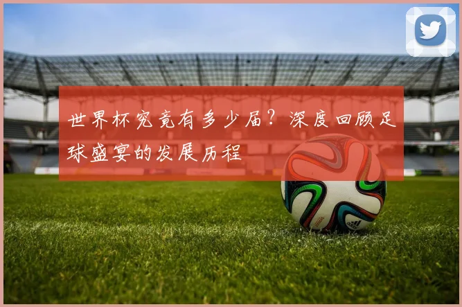 世界杯究竟有多少届?深度回顾足球盛宴的发展历程