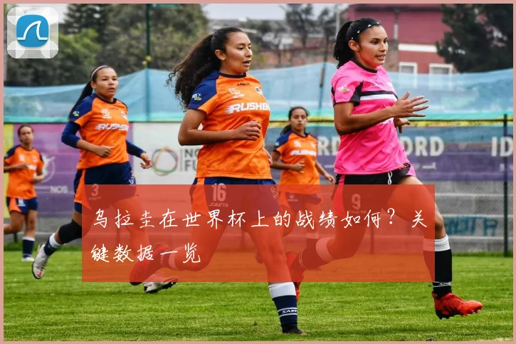 乌拉圭在世界杯上的战绩如何？关键数据一览