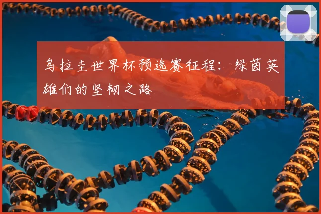 乌拉圭世界杯预选赛征程：绿茵英雄们的坚韧之路