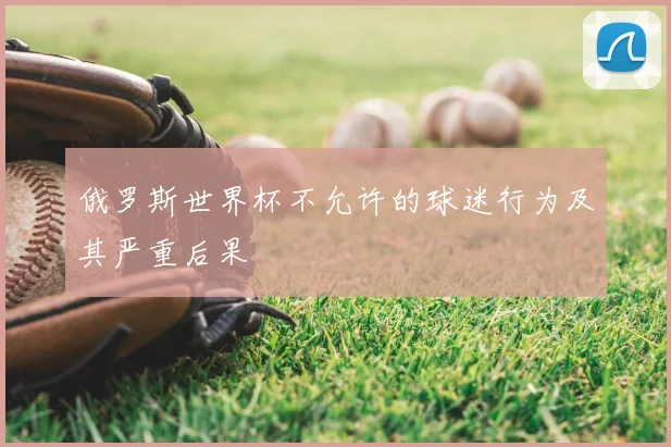 俄罗斯世界杯不允许的球迷行为及其严重后果