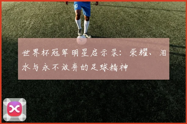 世界杯冠军明星启示录：荣耀、泪水与永不放弃的足球精神