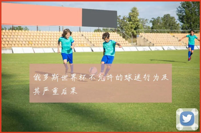 俄罗斯世界杯不允许的球迷行为及其严重后果