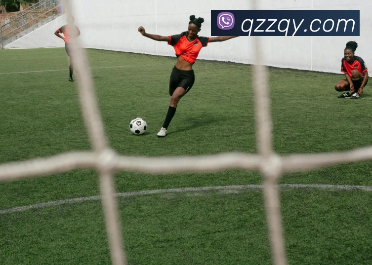 开云线上登录平台入口APP 封面图